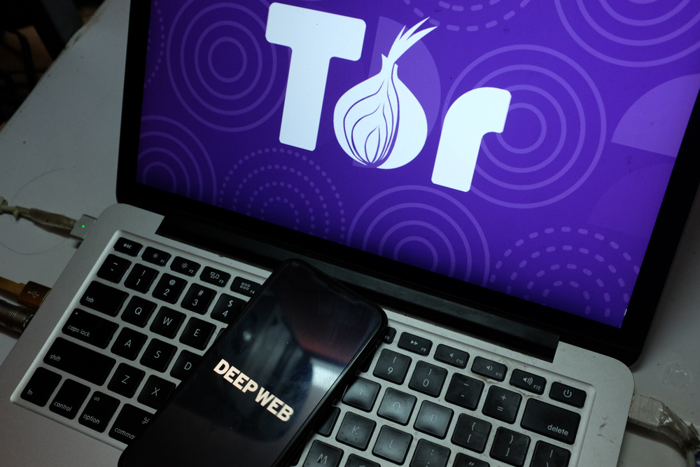 uses for tor browser hydra2web