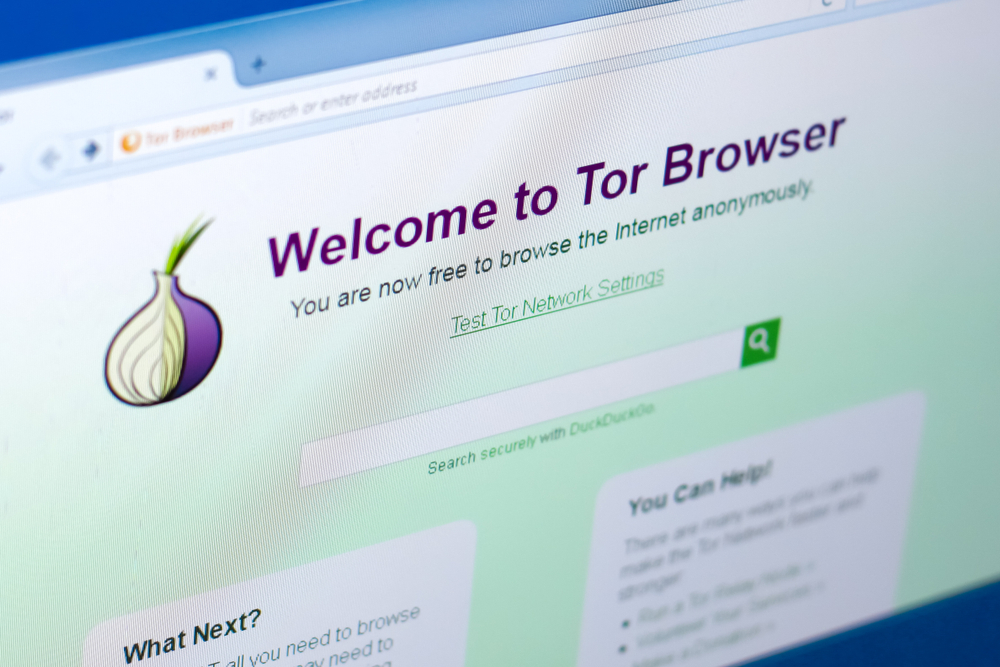 use tor without tor browser gidra